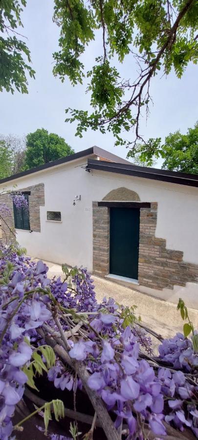 Agriturismo Terranova Pisticci Ngoại thất bức ảnh